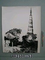 藏品(西湖保俶塔照片)的圖片